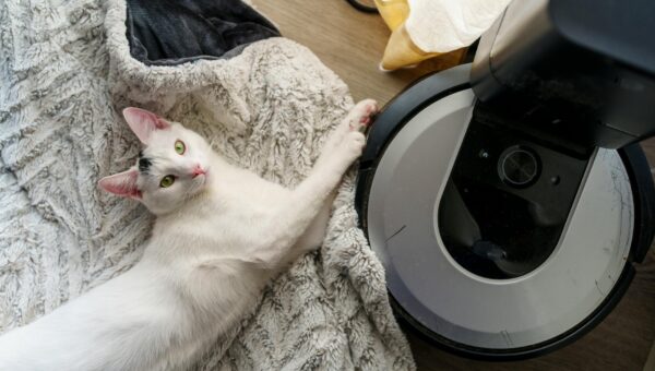 Top Robot Vacuums for Pet Hair in 2026: Expert Tested Reviews