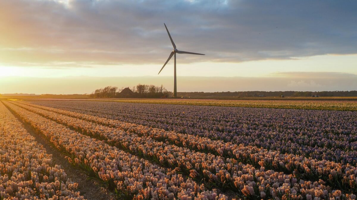 Oracle Secures 2.8 GW Energy Deal with Bloom for AI Data Centers