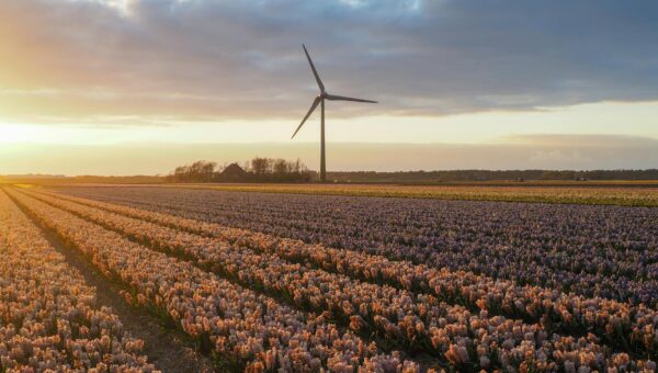 Oracle Secures 2.8 GW Energy Deal with Bloom for AI Data Centers